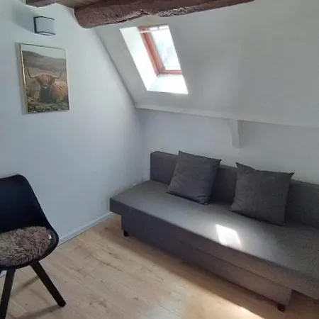 דירה The 16th Century Duplex In The City Center אנטוורפן