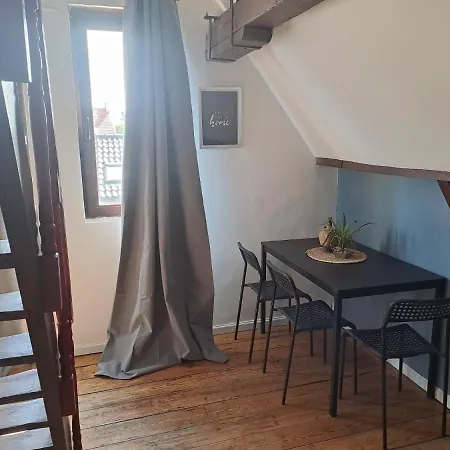 The 16th Century Duplex In The City Center * אנטוורפן